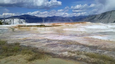 Filamentous bacteria flowing over the terraces at Mammoth Hot Springs